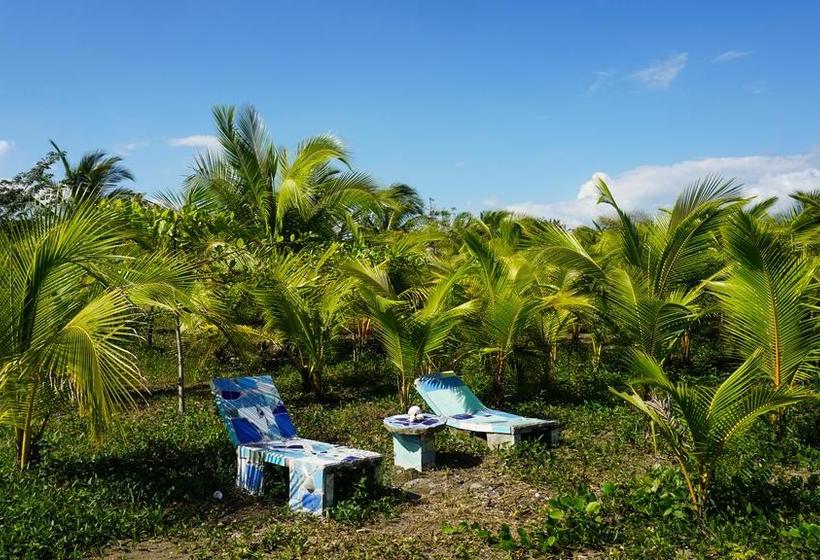 Hotel Hibiscus Garden | Santa Catalina | Veraguas | Panamá 9
