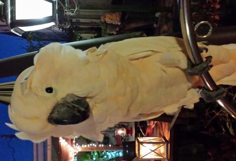 Hotel The Gallery Inn | San Juan | Puerto Rico | Centroamérica - Caribe 7