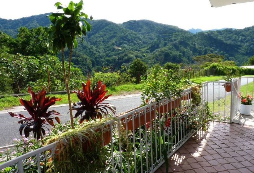 Autana Bed And Breakfast Hostel