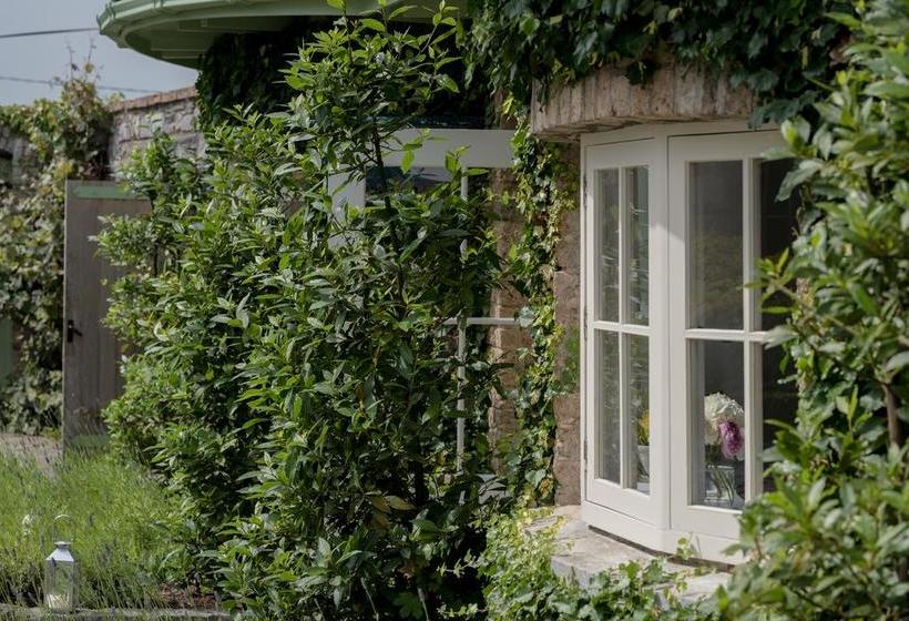 Pension Cliff At Lyons | Celbridge | Kildare | Ireland 13