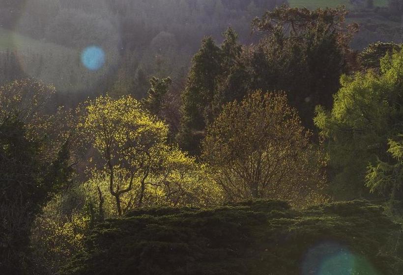 Hotel Mulvarra House | Kilkenny | Kilkenny | Ireland 5