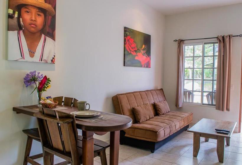 Hotel Downtown Suites