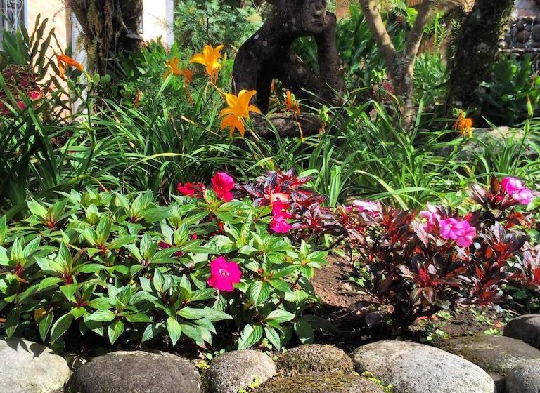 Hotel Palo Alto | Boquete | Chiriquí | Panamá 14