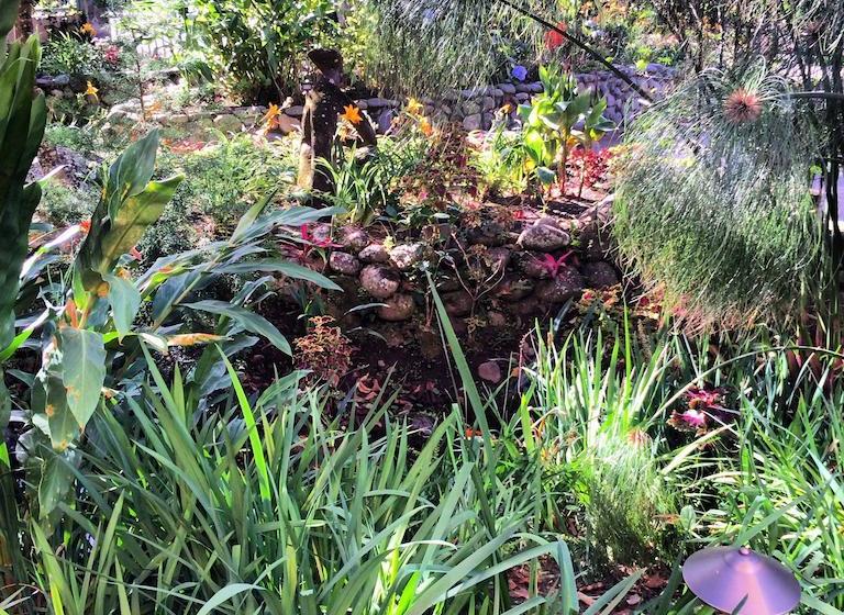 Hotel Palo Alto | Boquete | Chiriquí | Panamá 15