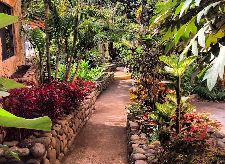 Hotel Palo Alto | Boquete | Chiriquí | Panamá 16