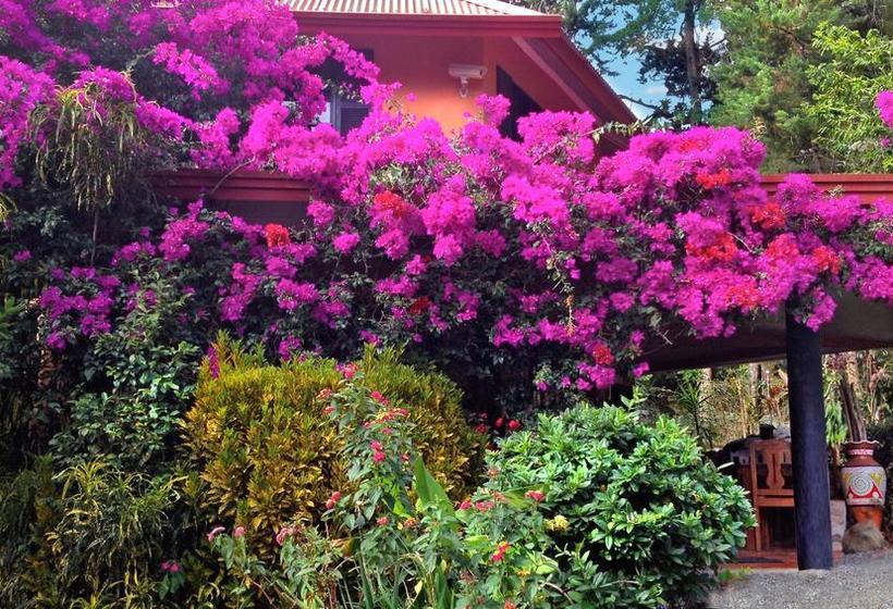 Hotel Boquete Garden Inn | Boquete | Chiriqui | Panamá 12