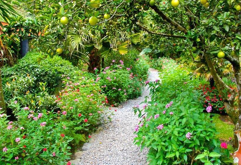 Hotel Boquete Garden Inn | Boquete | Chiriqui | Panamá 18