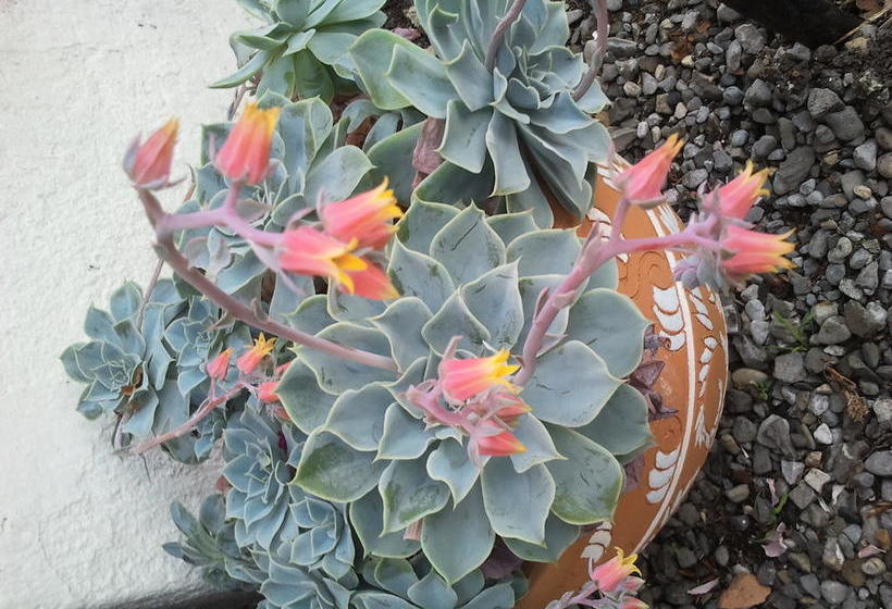 Hotel Lough Owel Lodge | Tullamore | Offaly | Ireland 13