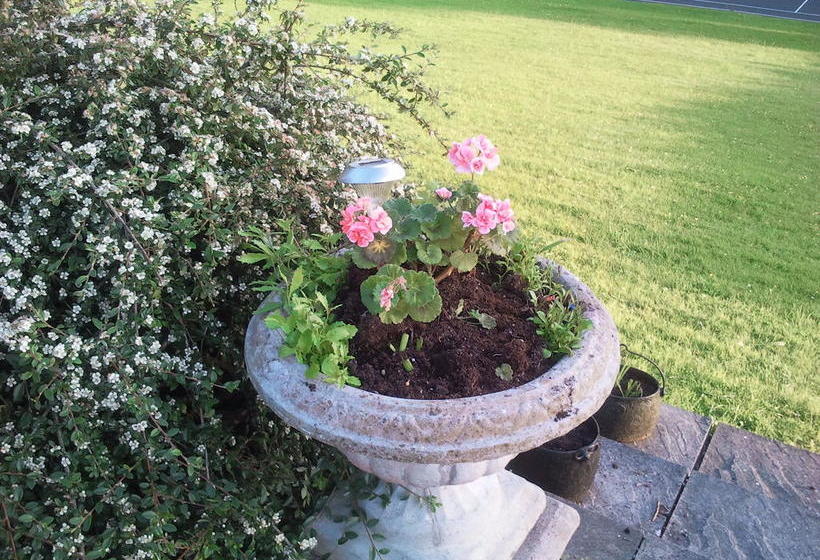 Hotel Lough Owel Lodge | Tullamore | Offaly | Ireland 14