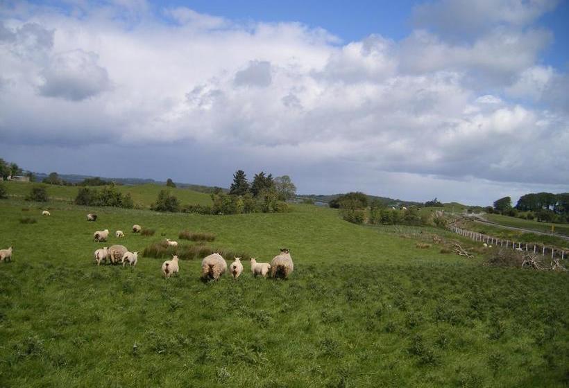 Hotel Lough Owel Lodge | Tullamore | Offaly | Ireland 19