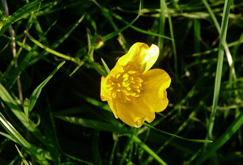 Hotel Lough Owel Lodge | Tullamore | Offaly | Ireland 5