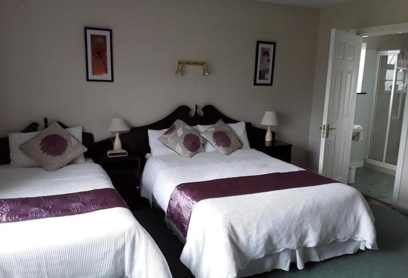 Hotel Riverview House Bed & Breakfast | Athlone | Westmeath | Ireland 6