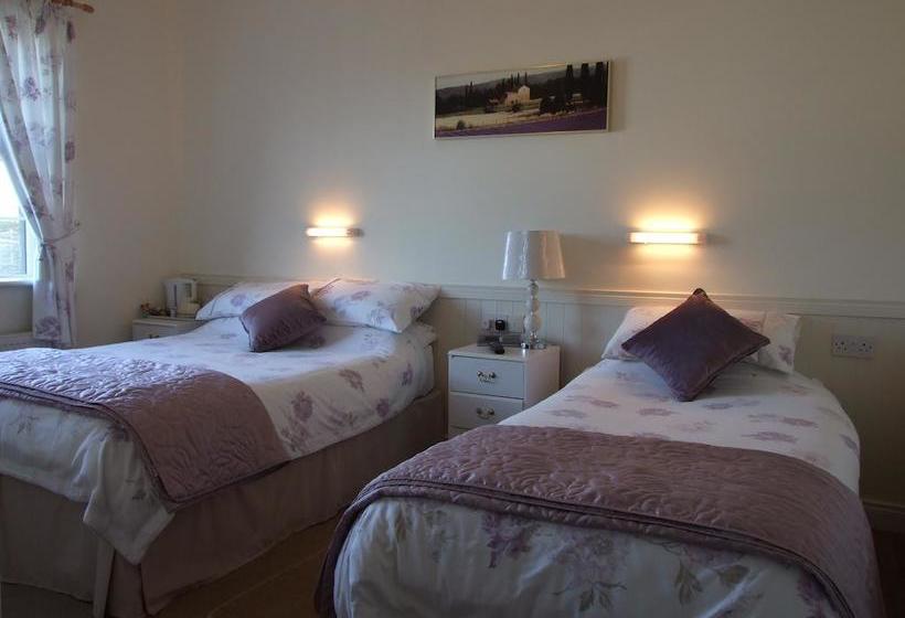Shannonside House Bed And Breakfast | Athlone | Westmeath | Ireland 7