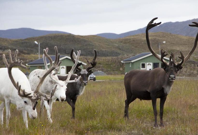 Nordkapp Camping | Honningsvag | Finnmark | Norway 8