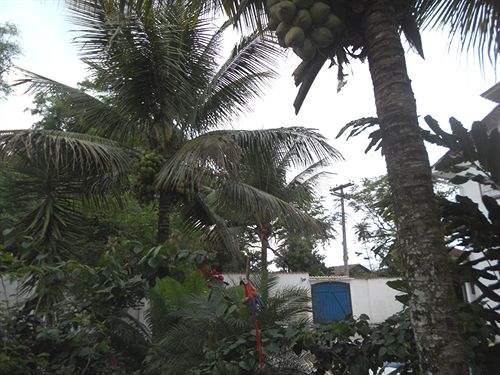 Pensão Pousada Lua Clara  | Paraty | Rio de Janeiro | Brasil 1