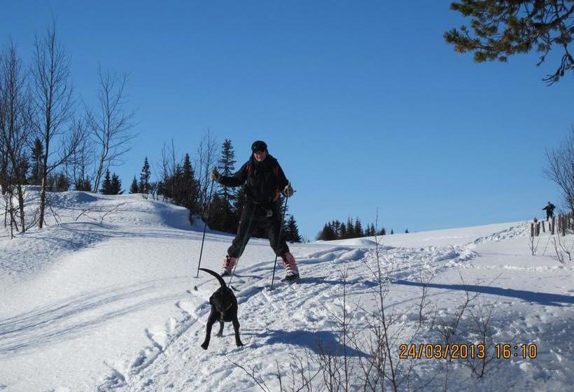 Hostel Uvdal Vandrerhjem | Uvdal | Buskerud | Norway 2