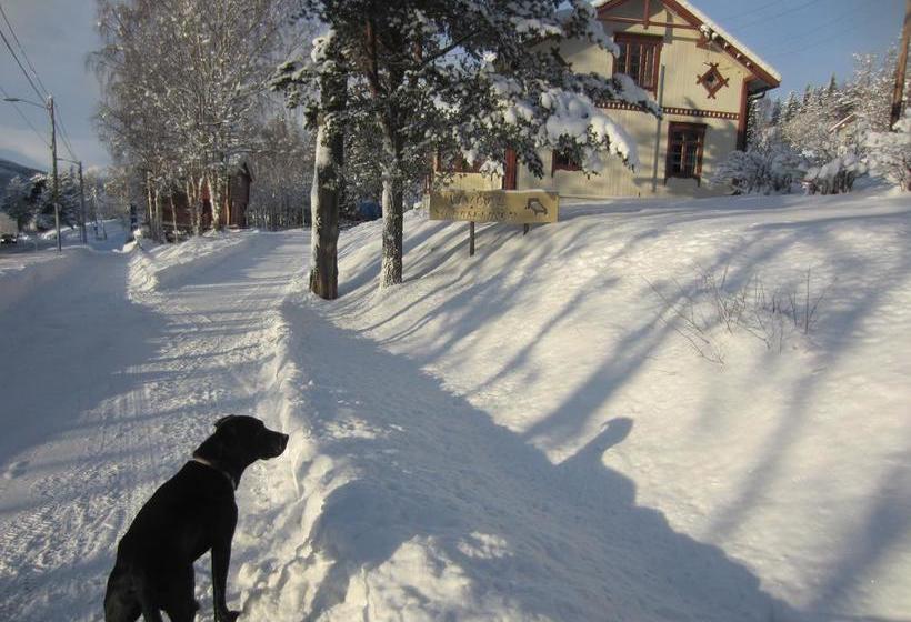 Hostel Uvdal Vandrerhjem | Uvdal | Buskerud | Norway 3