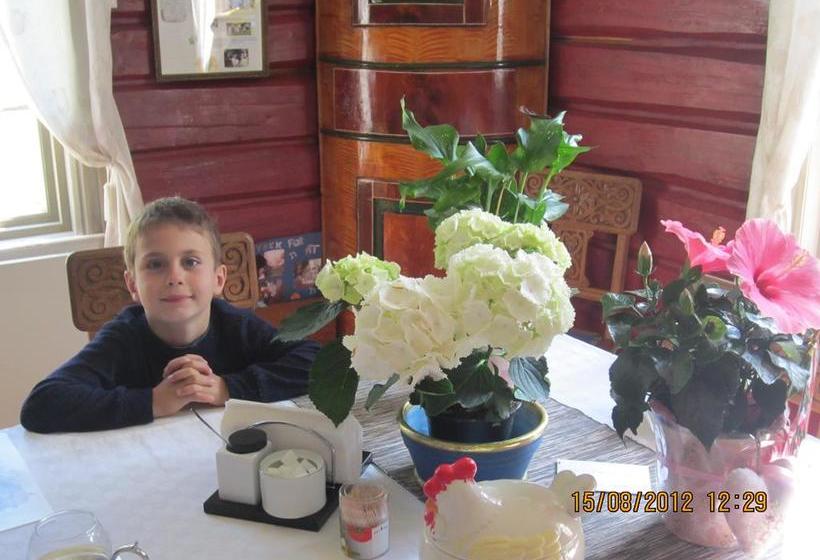 Hostel Uvdal Vandrerhjem | Uvdal | Buskerud | Norway 5