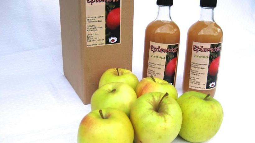 Bed and Breakfast Jordbærstova Feriehus | Valldal | More og Romsdal | Norway 15