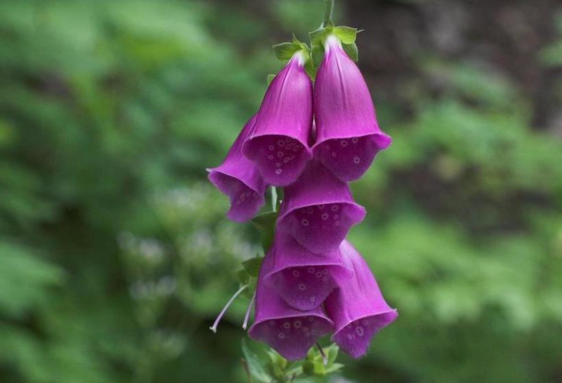 Resort Egenes Camping | Flekkefjord | Vest-Agder | Norway 5