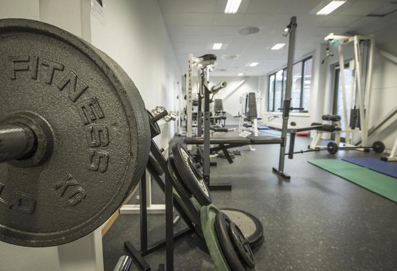 Borg Bed & Breakfast | Spjelkavik | More og Romsdal | Norway 3