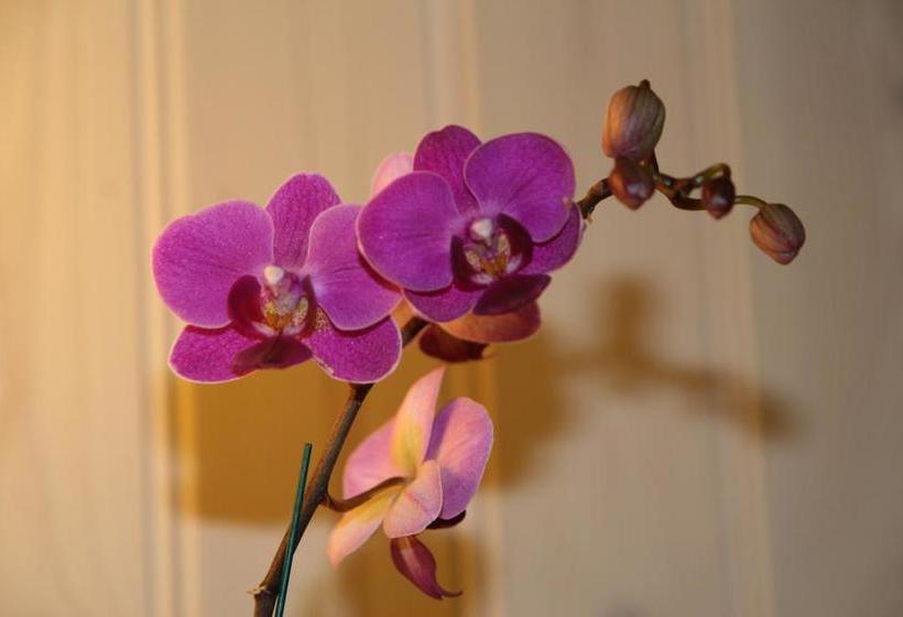 Dalen Bed & Breakfast | Dalen | Telemark | Norway 10