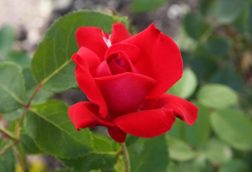 Hotel Brattrein | Notodden | Telemark | Norway 6