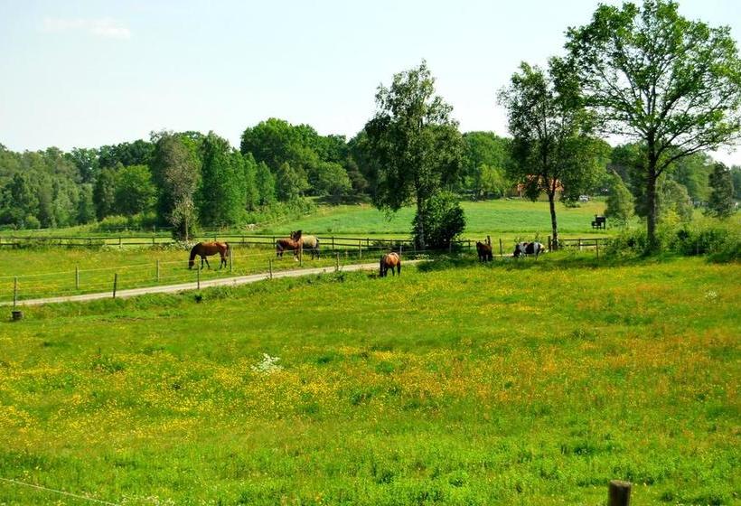 Bed and Breakfast Höhällets Lantliga Rum | Varnamo | Jonkopings Lan | Sweden 15