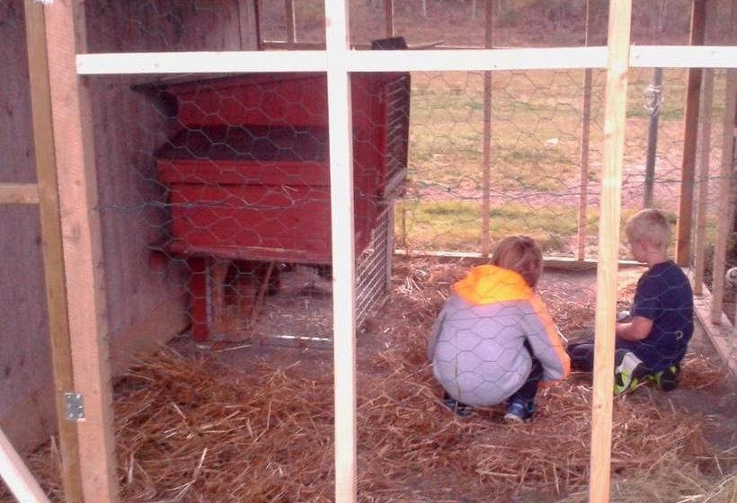 Bed and Breakfast Höhällets Lantliga Rum | Varnamo | Jonkopings Lan | Sweden 16