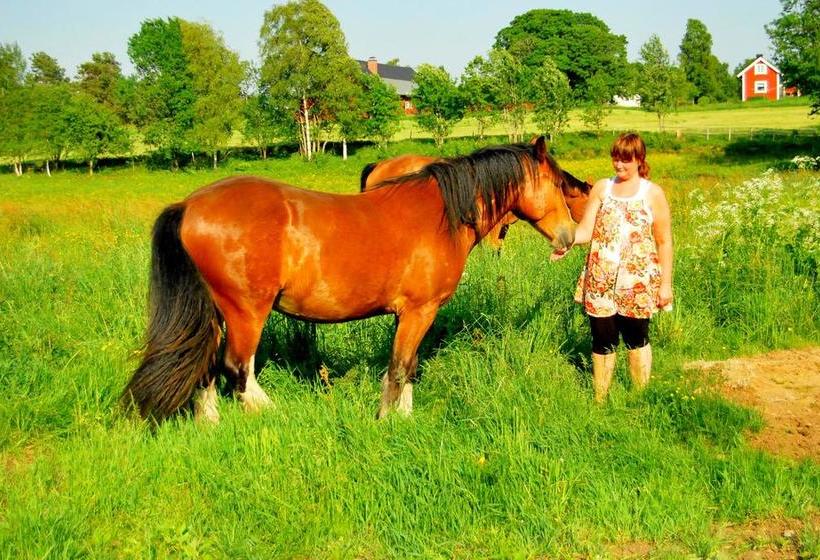 Bed and Breakfast Höhällets Lantliga Rum | Varnamo | Jonkopings Lan | Sweden 17