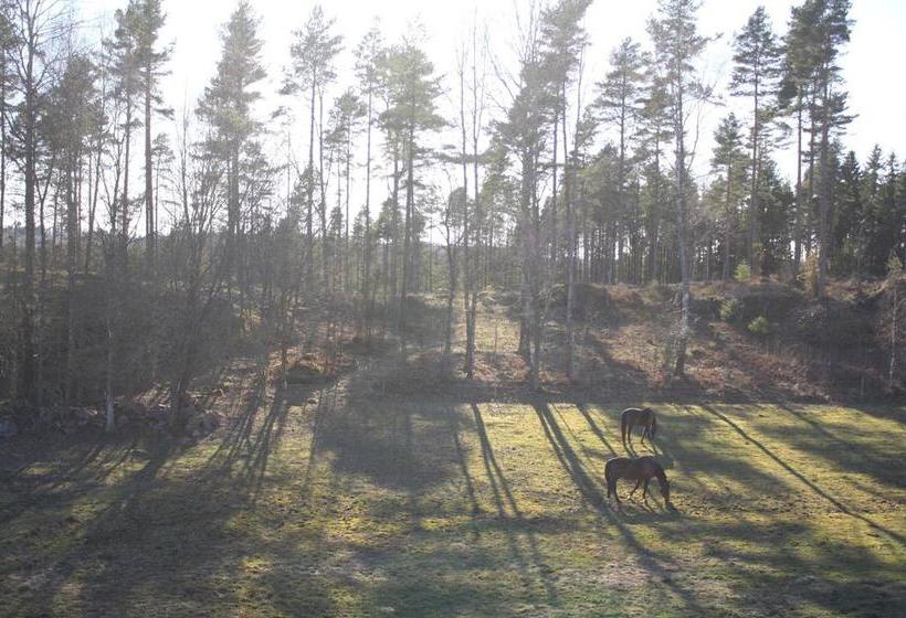 Bed and Breakfast Höhällets Lantliga Rum | Varnamo | Jonkopings Lan | Sweden 20