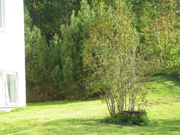 Albergue Mullsjö Folkhögskola | Mullsjo | Jonkopings Lan | Suecia 20