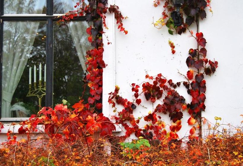 Hotel Karlaby Kro | Östra Tommarp | Skane | Schweden 6