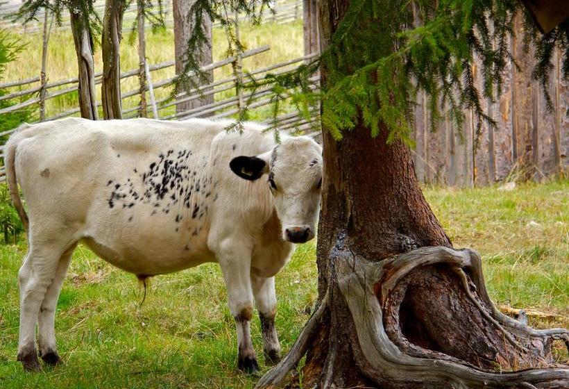 Gaffelbyn  Sundsvalls Vandrarhem | Sundsvall | Vasternorrlands Lan | Sweden 13