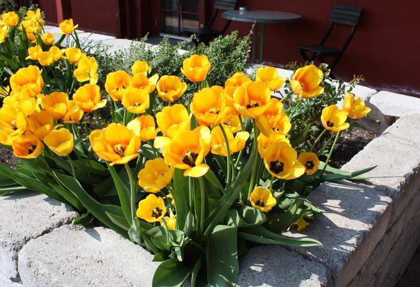 Hotel Wirketorp Countryside | Kavlinge | Skane | Sweden 17