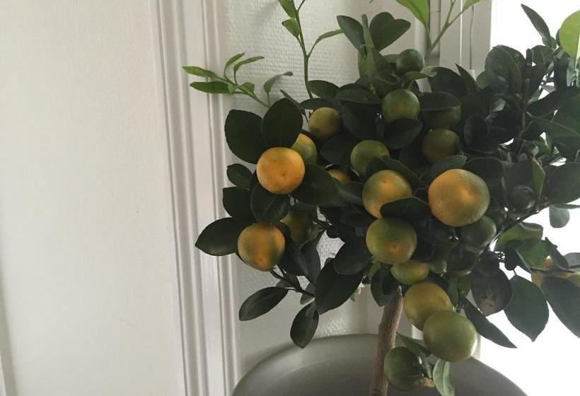 Linné Hostel | Gothenburg | Vastra Gotalands Lan | Sweden 6