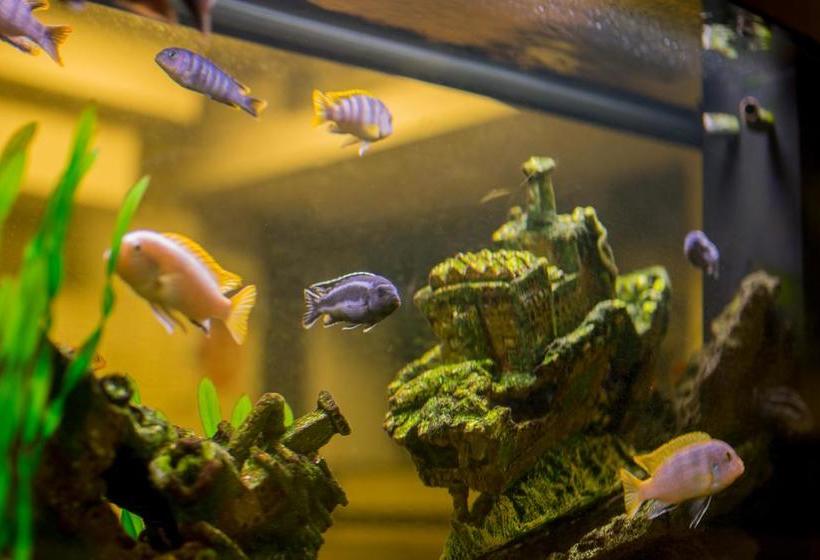 Cityvandrarhemmet | Helsingborg | Skane | Sweden 6