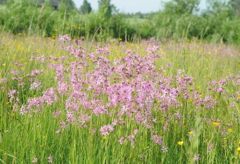 Hotel Brovillan | Lekeryd | Jonkopings Lan | Sweden 10