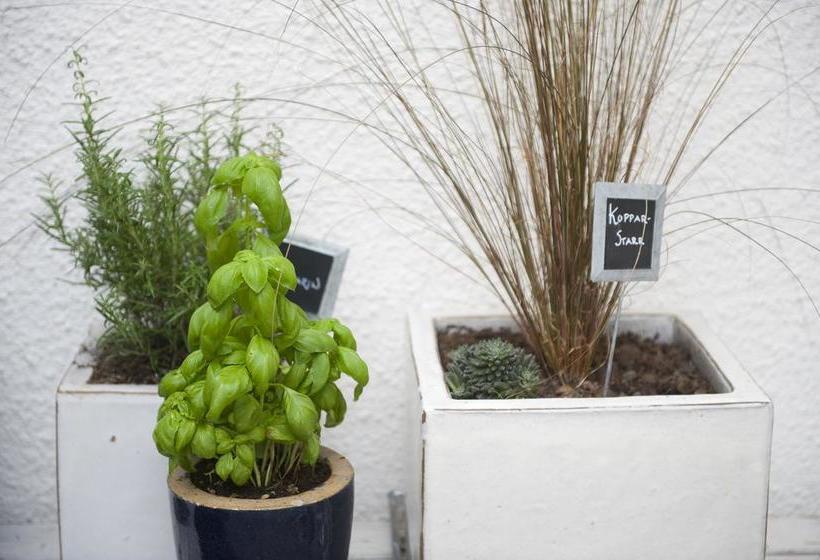 Hotel L Stenugnen | Visby | Gotlands Lan | Sweden 8