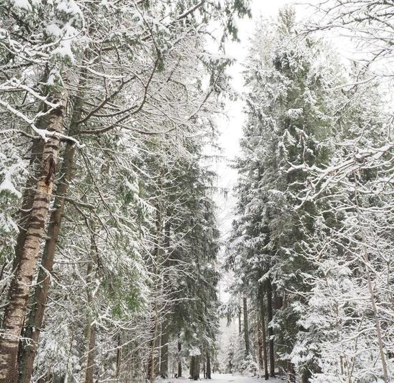 Pension Emma Gjestehus | Sandvika | Akershus | Norway 9