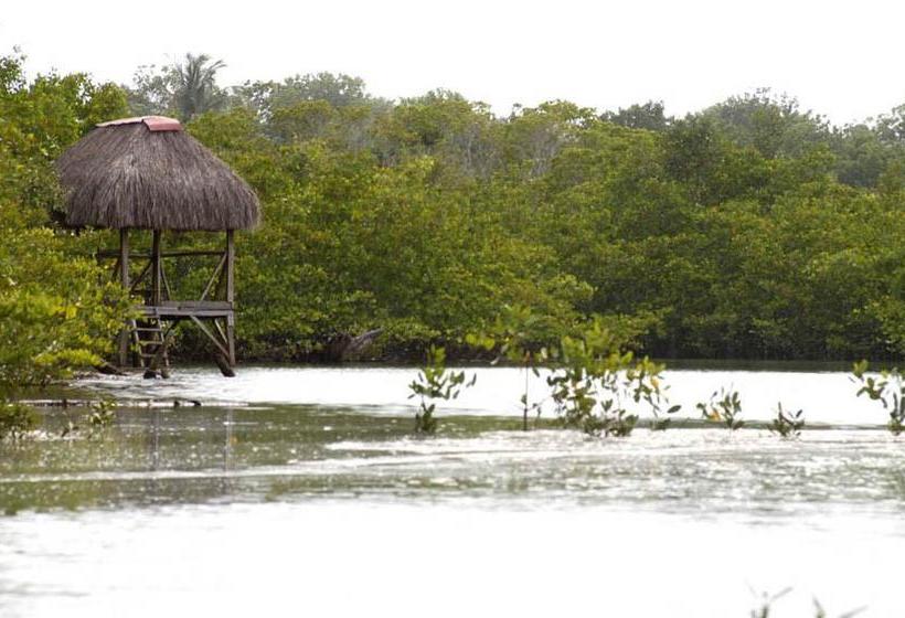 Casa Laguna B&b | Las Lajas | Chiriquí | Panamá 19