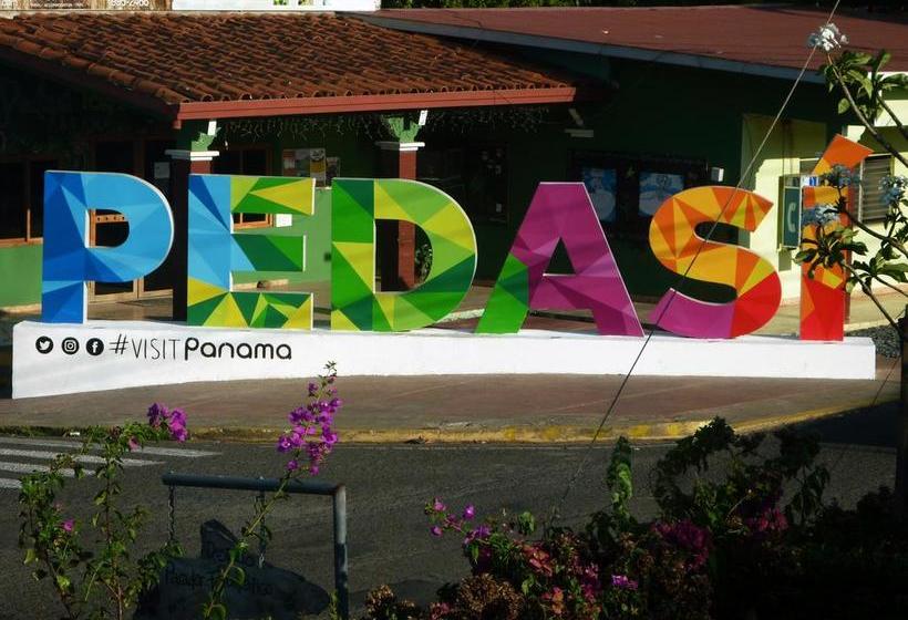 Albergue Dim S Hostal | Pedasí | Los Santos | Panamá 2