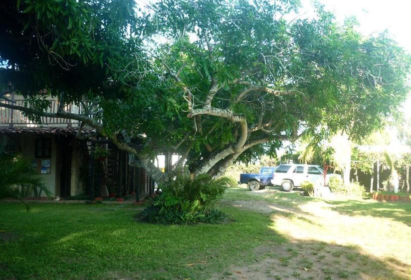 Albergue Dim S Hostal | Pedasí | Los Santos | Panamá 3