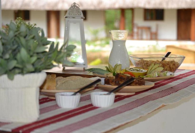 Bed and Breakfast Naturalmente Boutique Bungalows | Las Lajas | Chiriquí | Panamá 19