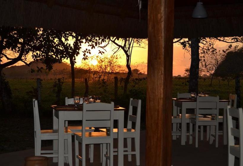 Bed and Breakfast Naturalmente Boutique Bungalows | Las Lajas | Chiriquí | Panamá 7