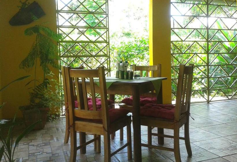 Bed and Breakfast Finca Buena Vista | Las Lajas | Chiriquí | Panamá 1