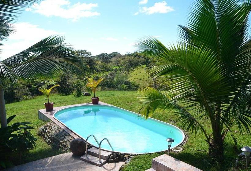 Bed and Breakfast Finca Buena Vista | Las Lajas | Chiriquí | Panamá 13