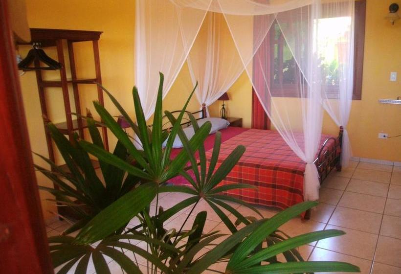 Bed and Breakfast Finca Buena Vista | Las Lajas | Chiriquí | Panamá 5