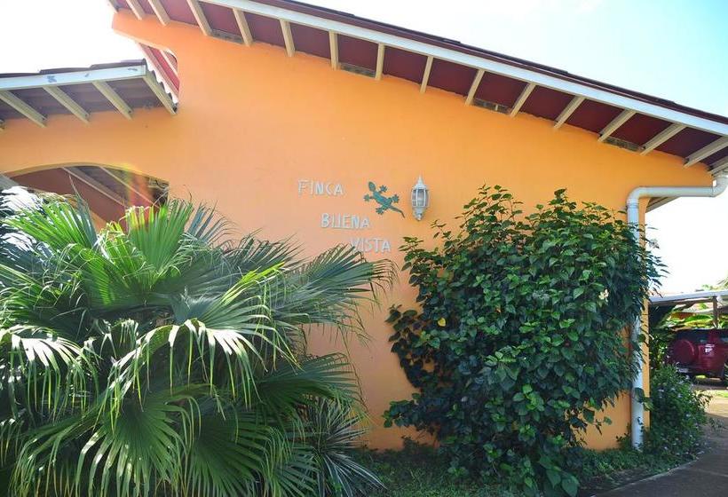 Bed and Breakfast Finca Buena Vista | Las Lajas | Chiriquí | Panamá 9