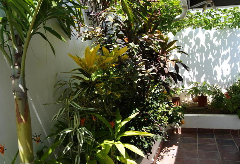 Bed and Breakfast Posada Del Mar | Las Tablas | Los Santos | Panamá 19